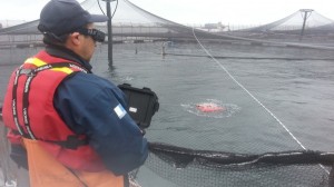 Servicios Acu&iacute;colas Bah&iacute;a Manao Anuncios gratis en Puerto Montt |  Servicios de buceo en los lagos y rob&oacute;tica submarina www.bahiamanao.cl, Servicio de buceo los lagos, rob&oacute;tica los lagos, servicios acu&iacute;colas