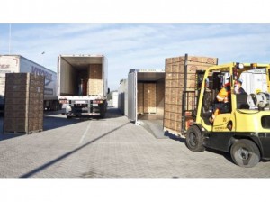 Aureotec Limitada Anuncios gratis en Valpara&iacute;so |  Curso de conducci&oacute;n gr&uacute;a horquilla - valpara&iacute;so, Curso de conducci&oacute;n para gr&uacute;a horquilla - valpara&iacute;so