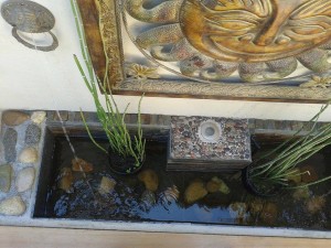 osvaldo Anuncios gratis en Vi&ntilde;a del Mar |  Servicios de mantencion de areas verdes en valparaiso, Corte de cesped