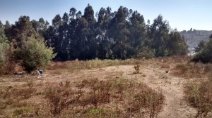 Cristian Gajardo Miralles Anuncios gratis en Vi&ntilde;a del Mar |  Se vende gran terreno en vi&ntilde;a del mar, excelente ubicaci&oacute;n comercial, Camino internacional, 11.600 m2, $429.000.000-