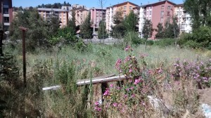 Cristian Gajardo Miralles Anuncios gratis en Vi&ntilde;a del Mar |  Terreno grande en vi&ntilde;a del mar para proyectos inmobiliarios, Excelente ubicaci&oacute;n comercial en camino internacional, 11.600 m2