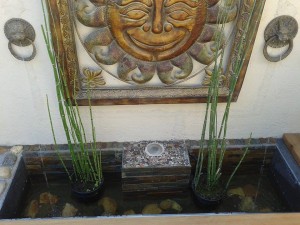 osvaldo Anuncios gratis en Vi&ntilde;a del Mar |  Servicios de jardineria en valparaiso,vi&ntilde;a del mar,concon,re&ntilde;aca,quil, Mantenciones de jardines