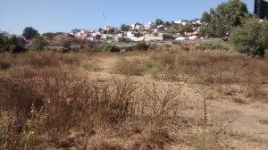 Cristian Gajardo Miralles Anuncios gratis en Vi&ntilde;a del Mar |  Terreno amplio en vi&ntilde;a del mar para proyectos comerciales, 11.600 m2, excelente ubicaci&oacute;n, camino internacional, $429.000.000