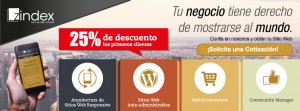 Zindex Anuncios gratis en Vi&ntilde;a del Mar |  Obt&eacute;n un sitio web a tu medida, - sitios web responsive. - sitios web auto-administrables