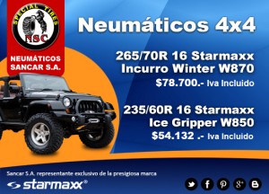 neum&aacute;ticos Sancar S.A. Anuncios gratis en Ais&eacute;n |  Neumaticos todas las medidas, automoviles, camionetas, camiones, buses, Neum&aacute;ticos para 4x4, c&aacute;maras para neumaticos
