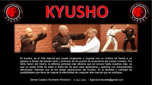 Humberto Perdomo Anuncios gratis en Lo Barnechea |  Kyusho defensa personal ni&ntilde;os j&oacute;venes y adultos, Defensa personal kyusho la mejor defensa