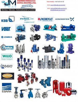 Mario Alex Iturriaga Duque Anuncios gratis en La Reina |  Bombas para aguas servidas bombas pozo profundo  bombas superficie, Valvulas motobombas sistemas de riego herramientas