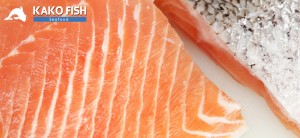 kako fish Anuncios gratis en Puerto Montt |  Comercializadora de productos del mar puerto montt, Comercializadora de productos del mar puerto montt