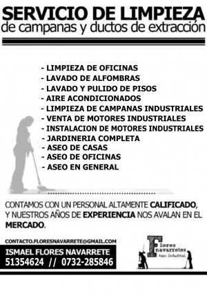 Ismael Flores Anuncios gratis en Linares |  Limpieza de oficinas en la ciudad de linares, Limpieza de oficinas en la ciudad de linares