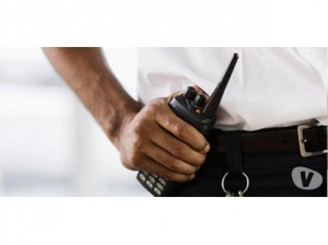 Aureotec Ltda Anuncios gratis en Valpara&iacute;so |  Curso 