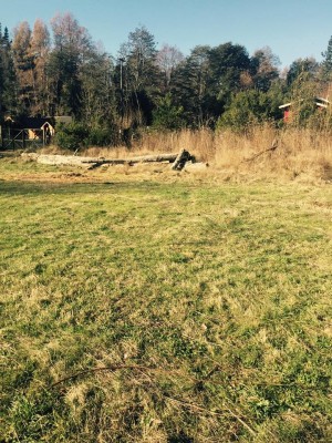 NATIVOS PUC&Otilde;N Anuncios gratis en Villarrica |  Hermosa parcela de 20 x 50 a minutos de puc&oacute;n, Hermosa parcela en molco cerca de puc&Oacute;n