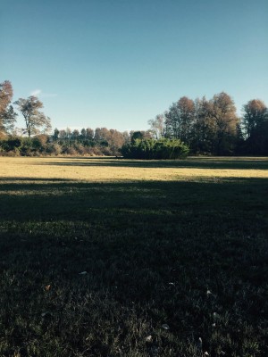 nativos puc&oacute;n Anuncios gratis en Villarrica |  Parcela de 5000 m2 en el sector de lef&uacute;n, Hermosa parcela de 5000 m2 en lef&uacute;n cerca de puc&oacute;n