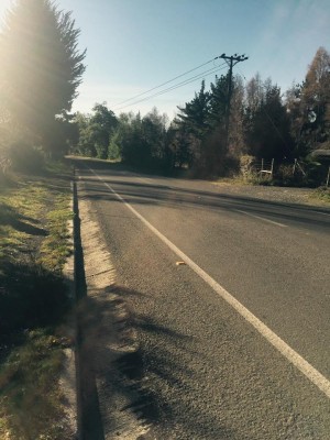 nativos puc&oacute;n Anuncios gratis en  Hermosa parcela de 1000 m2 en molco cerca de puc&oacute;n, Hermosa parcela de 1000 m2 en molco cerca de puc&oacute;n