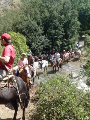 PATRICIO YA&Ntilde;EZ Anuncios gratis en Lo Barnechea |  Cabalgatas arrayan eventos asados campestres naturaleza entretencion, Caballos tiempo libre particulares empresas