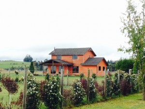 Nothofagus Propiedades Anuncios gratis en Puerto Varas |  Casa en venta loteo edelweiss km 7 ruta 225 ensenada- pto varas., Casa en venta puerto varas, camino ensenada