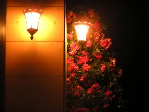 Bernardo Iv&aacute;n Panchillo Antinao Anuncios gratis en La Reina |  Detecci&oacute;n de fallas el&eacute;ctricas, reemplazo de autom&aacute;ticos, Protecci&oacute;n diferencial, tableros, instalaciones luces led