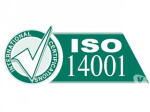 ANY ARMIJO VIDAL Anuncios gratis en Vi&ntilde;a del Mar |   servicio de asesoria norma iso 14001 2015, Servicio de asesoria norma iso 14001 2015