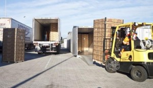 Aureotec Ltda. Anuncios gratis en  Curso de conducci&oacute;n de gr&uacute;a de horquilla, Aprenda conducir gr&uacute;a horquilla en valpara&iacute;so.
