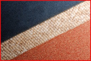 ISABEL TRONCOSO C. Anuncios gratis en Santiago |  LIMPIEZA DE ALFOMBRAS MURO A MURO- $ 500 m2- $ 500 m2-  269 4719, Todos los d&iacute;as - Todo Santiago - Fines de semana y Festivos 