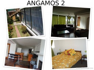 Violeta Anuncios gratis en  Casas en re&ntilde;aca equipadas para verano 2018, Arriendo diario, por noche, re&ntilde;aca, vi&ntilde;a del mar