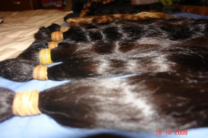 CAROLINA CONTRERAS DIAZ Anuncios gratis en Temuco |  EXTENSIONES DE CABELLO NATURALES DISTRIBUIDORA TEMUCO, EL MEJOR CABELLO NATURAL , MAYORISTAS -PROFESIONALES