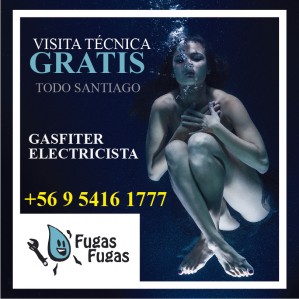 Fugas-fugas.cl Anuncios gratis en Vitacura |  Detecci&oacute;n, reparaci&oacute;n filtraciones piscina gasfiter vitacura plomero, Fugas de agua en piscinas, busqueda de fugas de agua, plomero, piscina