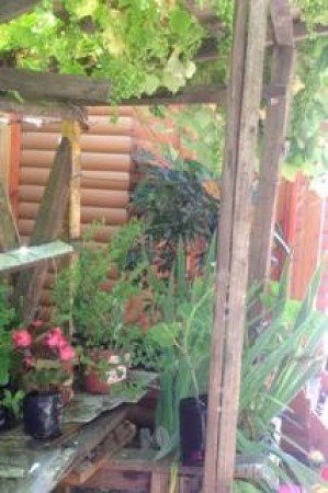 Elisa  betancio Anuncios gratis en Villarrica |  Arriendo  caba&ntilde;a  de  veraneo  en  villarrica, Hermosa  y  acogedora caba&ntilde;a  de  interior