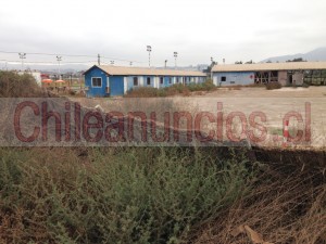 Rubén vega  Anuncios gratis en La Serena |  Lote de 5.000 m2 arriendo $ 1.000.000, sector avda. del mar, Lotes en arriendo solo a $ 1.000.000 los 5.000 m2