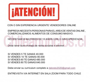 Evelyn Anuncios gratis en Antofagasta |  Ventas por internet, modalidad teletrabajo para vender, Vendedor(a) en modalidad teletrabajo se necesita persona con habilidad