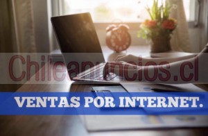 Evelyn vergara Anuncios gratis en Copiap&oacute; |  Necesita personas para el cargo de promotores vendedores, Cesantes urgente/ 40.000 diarios