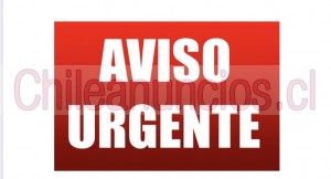 Evelyn vergara Anuncios gratis en Osorno |  Vendedores online empresa necesita personas para el area de ventas online, Vendedores online