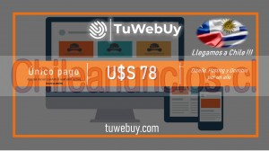 Tuwebuy Anuncios gratis en Alto Hospicio |  Diseño web - hosting - dominio. el precio más bajo, Diseñamos webs simples y eficientes al costo más bajo del mercado. 