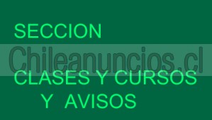 Lisi Anuncios gratis en Vitacura |  Se hacen cursos de pagina web llamenos, Llamar si se interesa aprender 232492512