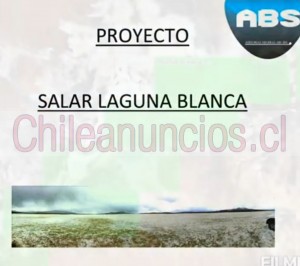 Elias cid campillay Anuncios gratis en Arica |  Vendo acciones proyecto de litio laguna salar, Elias cid campillay ceo lithium chile