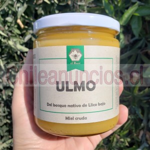 Emporio lamarta Anuncios gratis en &Ntilde;u&ntilde;oa |  Miel de ulmo orgánica el rusc 560 grs., Miel de ulmo orgánica, despacho a domicilio gratis en Ñuñoa