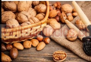 Ernesto Anuncios gratis en Temuco |  Avellanas tostadas, nuez, castañas de caju, charqui de equino, Frutos secos, semillas de zapallo, datiles, condimentos, especias