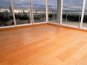 ISABEL TRONCOSO Anuncios gratis en Santiago |  LIMPIEZA DE PISO FLOTANTE - $ 800 M2 - $ 800 M2 - 800 M2 -  269 4719, Todos los d&iacute;as - Todo Santiago - Fines de semana y Festivos sin recargo