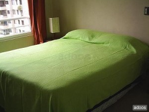  Anuncios gratis en Santiago |  Departamentos amoblados en arriendo (d&iacute;as, semanas). Stgo. centro, Santa Victoria con Portugal�METRO UNIV. CATOLICA