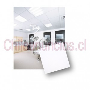 Palmetas novo dia Anuncios gratis en Osorno |  Palmetas por unidad en osorno / cielos americanos novodia.cl, Palmetas osorno, palmetas chiloé, palmetas puerto montt