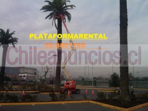 Elias Anuncios gratis en San Miguel |  Arriendo de brazo articulado y plataforma tijera, Arriendo de maquinaria para trabajo en altura