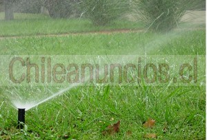 Luis Anuncios gratis en Talagante |  Cons truccion  jardi nes  santi  bañez talagante, Riego automatico y manual