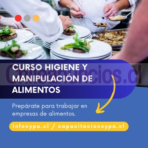 Ypa consultores  Anuncios gratis en Vi&ntilde;a del Mar |  Curso de higiene y manipulación de alimentos, Curso higiene manipulación de alimentos 