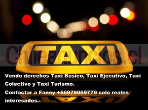 Fanny Anuncios gratis en Puente Alto |  Vendo derechos taxi básico, taxi ejecutivo, taxi colectivo renovaciondematerial@gmail.com, Vendo derechos taxi básico, ejecutivo, colectivo y turismo 979059779