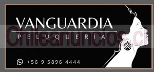 Peluqueria vanguardi Anuncios gratis en Santiago |  Servicio de peluqueria vanguardia en la molina, Peluqueria vanguardia en molina