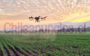 Estefania Anuncios gratis en Santiago |  Pulverizacion de cultivos cultidrone monitorizacion con uso de drones, Agricultura de precisión 
