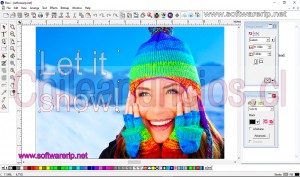 Carlosrip Anuncios gratis en Santiago |  000software rip para impresoras y plotter flexisign a bajo coste, : software rip para impresoras y plotter flexisign a bajo coste