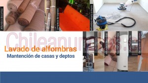Aseo industrial capi Anuncios gratis en &Ntilde;u&ntilde;oa |  Lavado de alfombras y limpieza de tapices en Ñuñoa, Limpieza de alfombras, lavado de alfombras, limpiar alfombras en seco