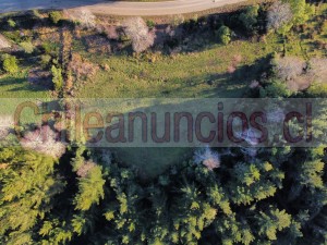 Yoveline marivel Anuncios gratis en Valdivia |  Terreno campo sector lipinhue region de los rios con estero, Terreno sitio campo con estero rural sector region de los rios