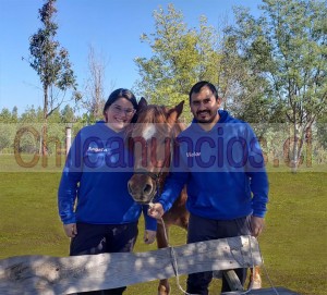 Fundación calú hipot Anuncios gratis en Huala&ntilde;&eacute; |  Fundacion calu hipoterapia rehabilitacion para todos sin fines de lucro, Ayudanos a transformar vidas con la magia de la hipoterapia