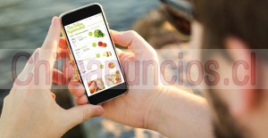 Paginas web chile Anuncios gratis en Puerto Montt |  Paginas web y servicios informaticos en puerto montt, Agencia de soporte informatico y marketing publicitario